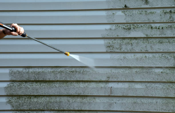 Best Dumpster Area Cleaning  in Franklin Furnace, OH